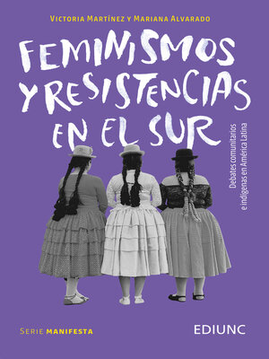 cover image of Feminismos y resistencias en el Sur